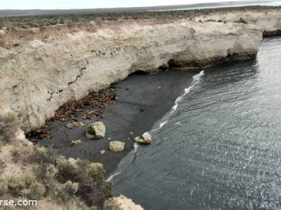 Encuentro : FESTEJEMOS LA PRIMAVERA EN PTO.MADRYN 