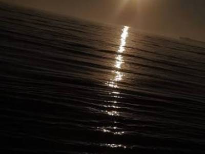 Encuentro : CAMINANATA POR LA COSTANERA DE QUILMES Y, SI  EL RIO ESTA BAJO, POR SUS PLAYAS. LUEGO ALMUERZO A LA CANASTA EN EL PARQUE DEL PEJERREY CLUB.!!!! 