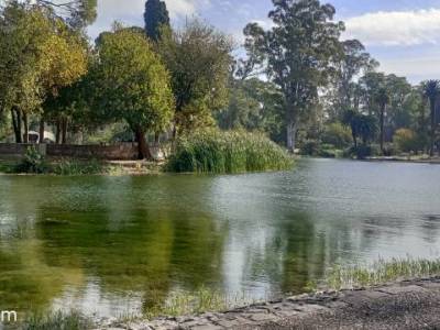 Encuentro : Córdoba - Caminata y Amigos en Parque Sarmiento  