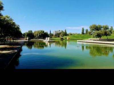 Encuentro : MATEADA PARQUE CENTRAL 