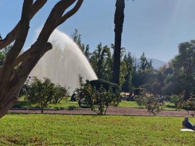 Encuentro : Finde largo para juntarse y Darse Cuenta  