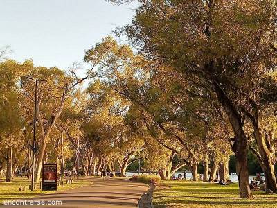 Encuentro : CAMINATA POR EL LAGO REGATAS 