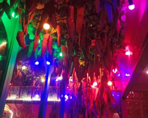 35089 2 Amor moderno en PANI