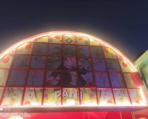 35089 3 Amor moderno en PANI