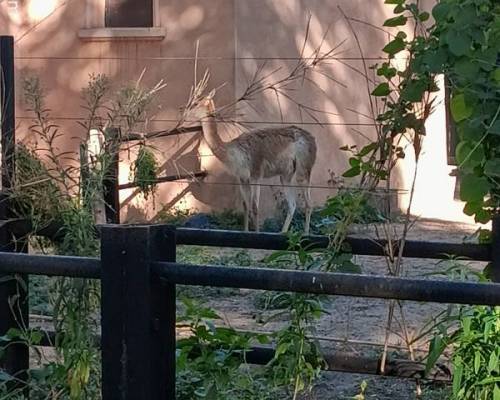 35659 1 BOTANICO y ECOPARQUE un paseo un Baluarte !!!!!