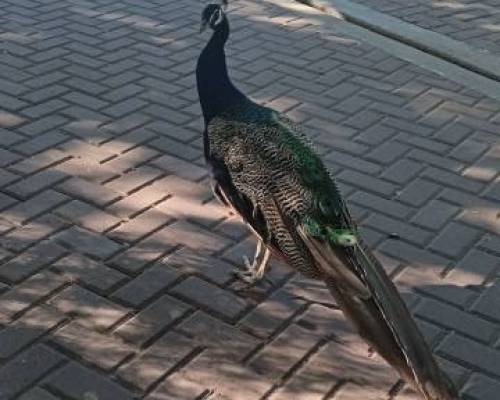 35659 23 BOTANICO y ECOPARQUE un paseo un Baluarte !!!!!