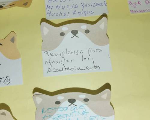 35804 5 Charla café 