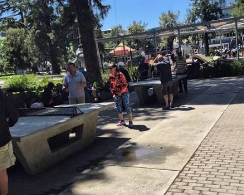 35811 8 Ping Pong venite a jugar y compartir un rato en Devoto