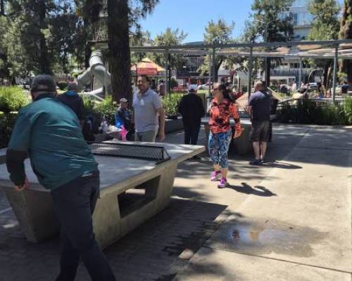 35811 9 Ping Pong venite a jugar y compartir un rato en Devoto