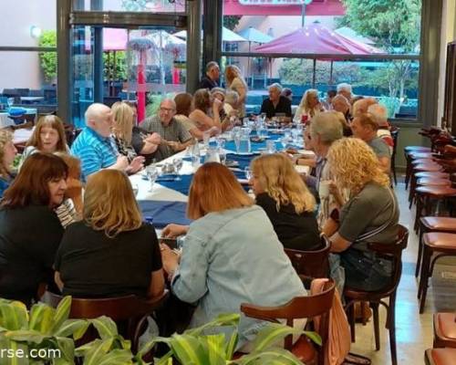 35819 7 CAFE de CABALLITO dotado charlado bonito !!!!