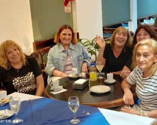 35819 9 CAFE de CABALLITO dotado charlado bonito !!!!