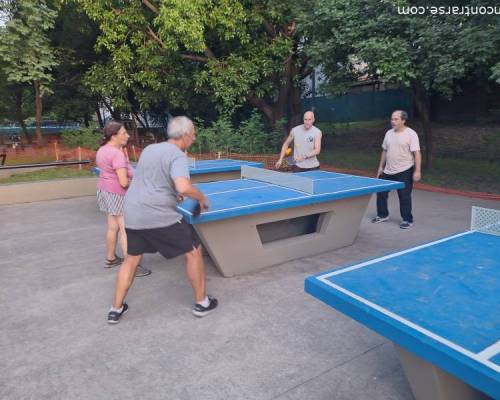 35875 6 Jugamos Ping Pong en Caballito!!