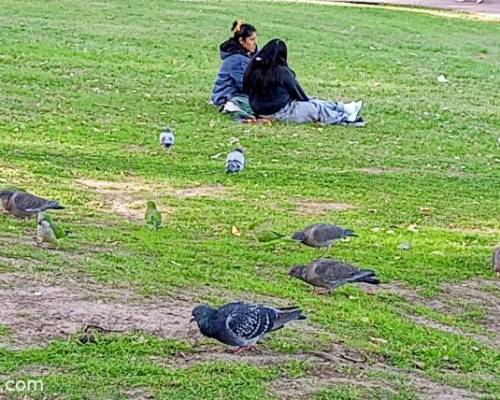 35888 6 LEZAMA, La Boca, Barracas.Mitos leyendas y cuentos.