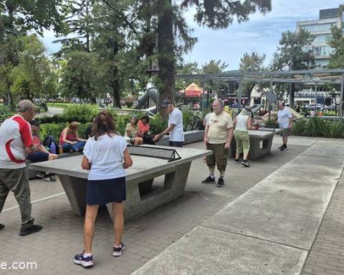 35910 3 Ping Pong venite a jugar y compartir un rato en Devoto