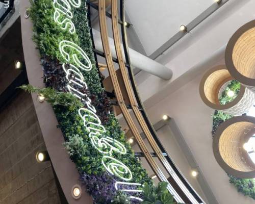 35921 3 CERRAMOS EL FINDE, EL DOMINGO, NOS JUNTAMOS A COMER EN LDZ...!!!