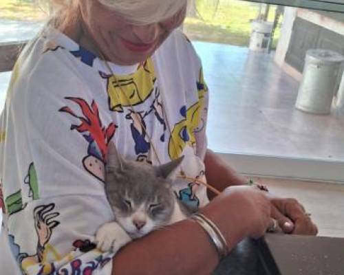 35931 19 Día de Campo en Carlos Keen!!