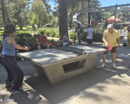 36011 9 PIMPONEAMOS EN VILLA DEVOTO