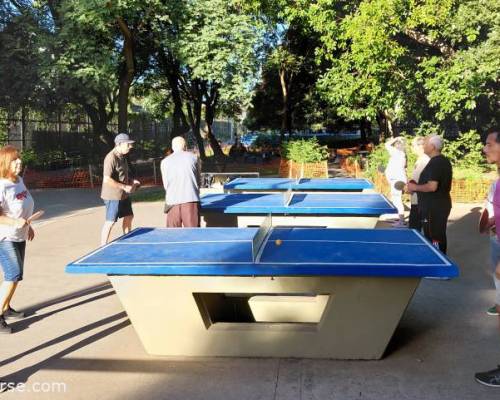 36042 5 Jugamos Ping Pong en Caballito!!