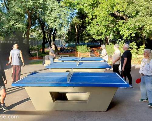 36042 8 Jugamos Ping Pong en Caballito!!