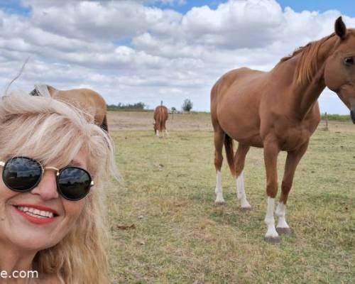 36079 7 Día de Campo en Carlos Keen!!