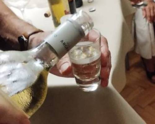 36101 16 CLINICA DE VINOS Y CATA VARIETAL