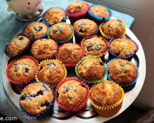 36101 37 CLINICA DE VINOS Y CATA VARIETAL