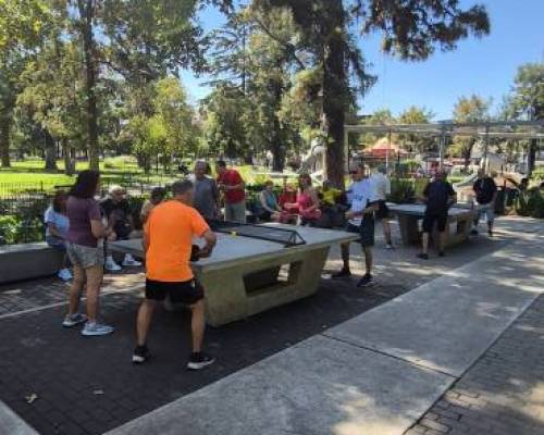 36114 7 Ping Pong venite a jugar y compartir un rato en Devoto
