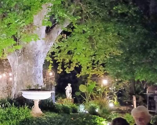 36153 10 Drunch en Palacio Leloir