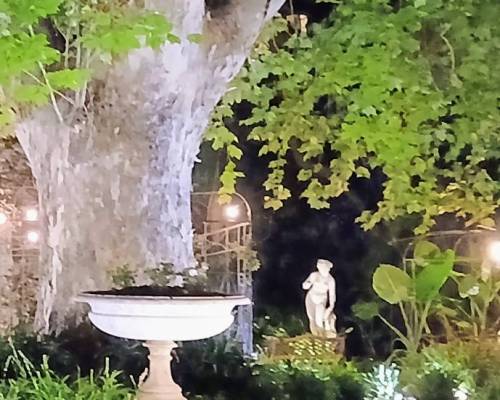 36153 14 Drunch en Palacio Leloir