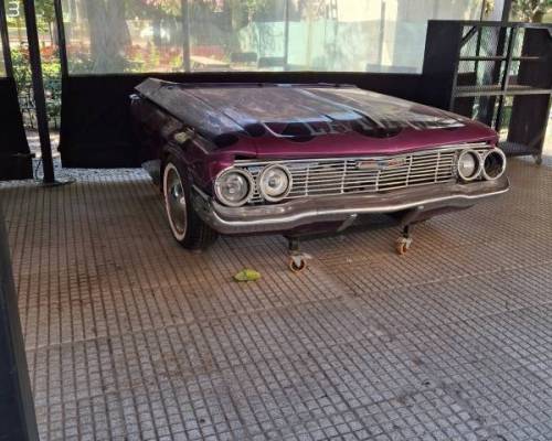 36167 4 Entre Risas y Verde ,,,Caminar, Respirar, Compartir