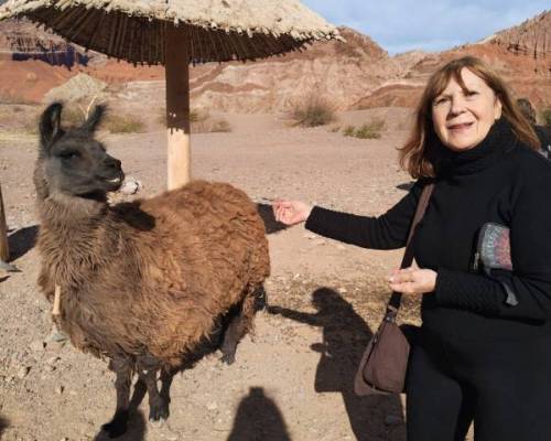 36179 36 INVIERNO EN SALTA¡¡¡¡¡¡¡¡   ALLA VAMOS¡¡¡¡¡¡