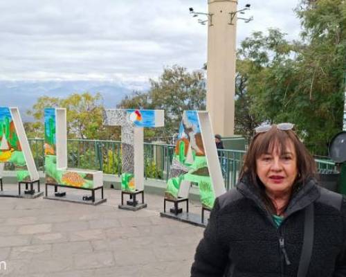 36179 78 INVIERNO EN SALTA¡¡¡¡¡¡¡¡   ALLA VAMOS¡¡¡¡¡¡