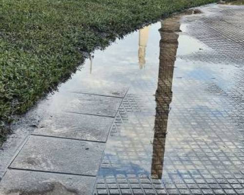 36194 12 Foto / Plaza de Mayo. Un lugar mil miradas.