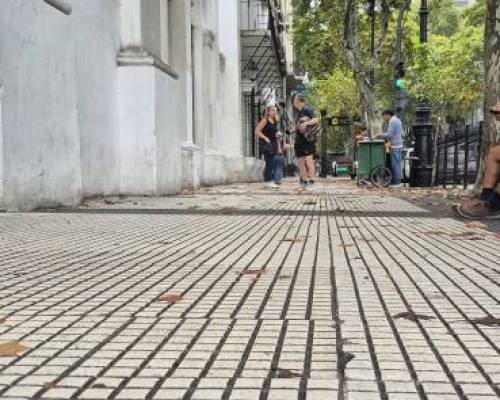 36194 19 Foto / Plaza de Mayo. Un lugar mil miradas.