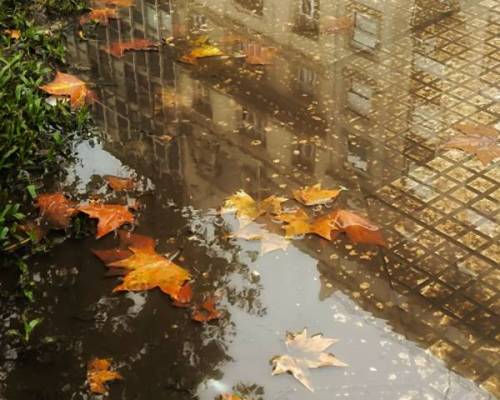 36194 21 Foto / Plaza de Mayo. Un lugar mil miradas.