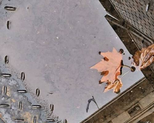 36194 24 Foto / Plaza de Mayo. Un lugar mil miradas.