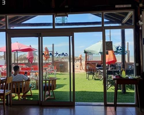 36231 4  Días felices con amigos frente al mar.