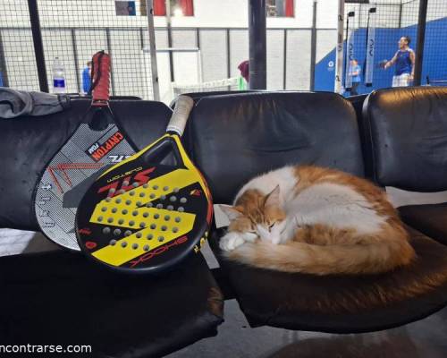 36405 8 ** JUGAMOS AL PADDLE **