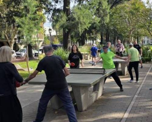 36488 10 Ping Pong venite a jugar y compartir un rato en Devoto