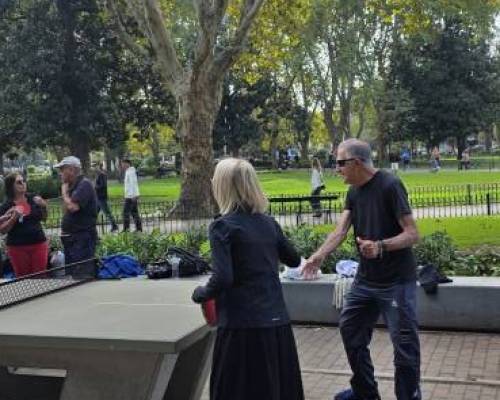 36488 11 Ping Pong venite a jugar y compartir un rato en Devoto