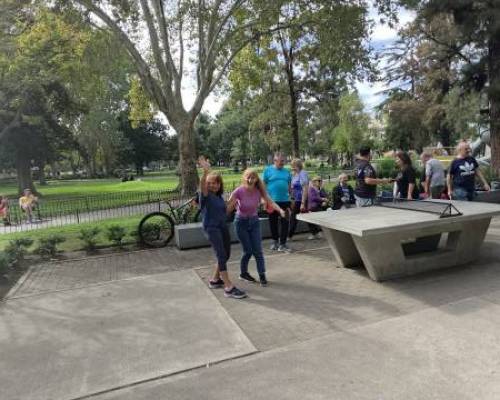 36488 13 Ping Pong venite a jugar y compartir un rato en Devoto