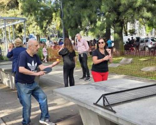 36488 4 Ping Pong venite a jugar y compartir un rato en Devoto