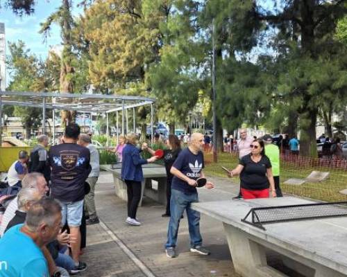 36488 6 Ping Pong venite a jugar y compartir un rato en Devoto