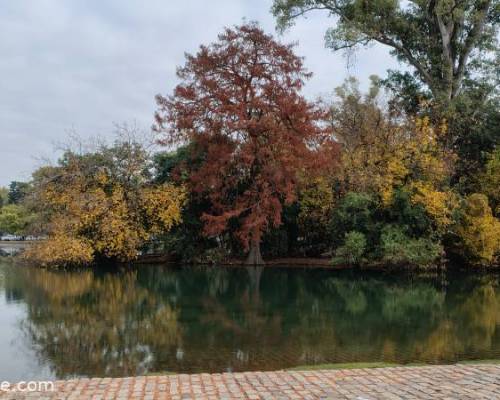 36744 4 CAMINATA X EL LAGO REGATA EN OTOÑO