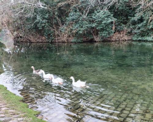 36933 2 CAMINATA POR EL LAGO REGATAS, ES HERMOSO EN INVIERNO ...