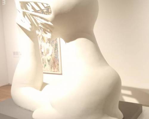 37068 14 MALBA exposicion de arte Latinoamericano.-
