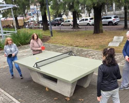 37185 6 Ping Pong venite a jugar y compartir un rato en Devoto