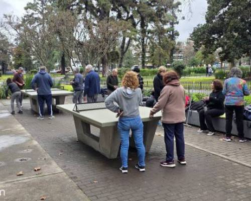 37185 8 Ping Pong venite a jugar y compartir un rato en Devoto