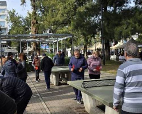 37197 1 Ping Pong venite a jugar y compartir un rato en Devoto