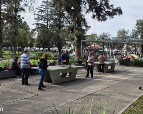 37197 2 Ping Pong venite a jugar y compartir un rato en Devoto